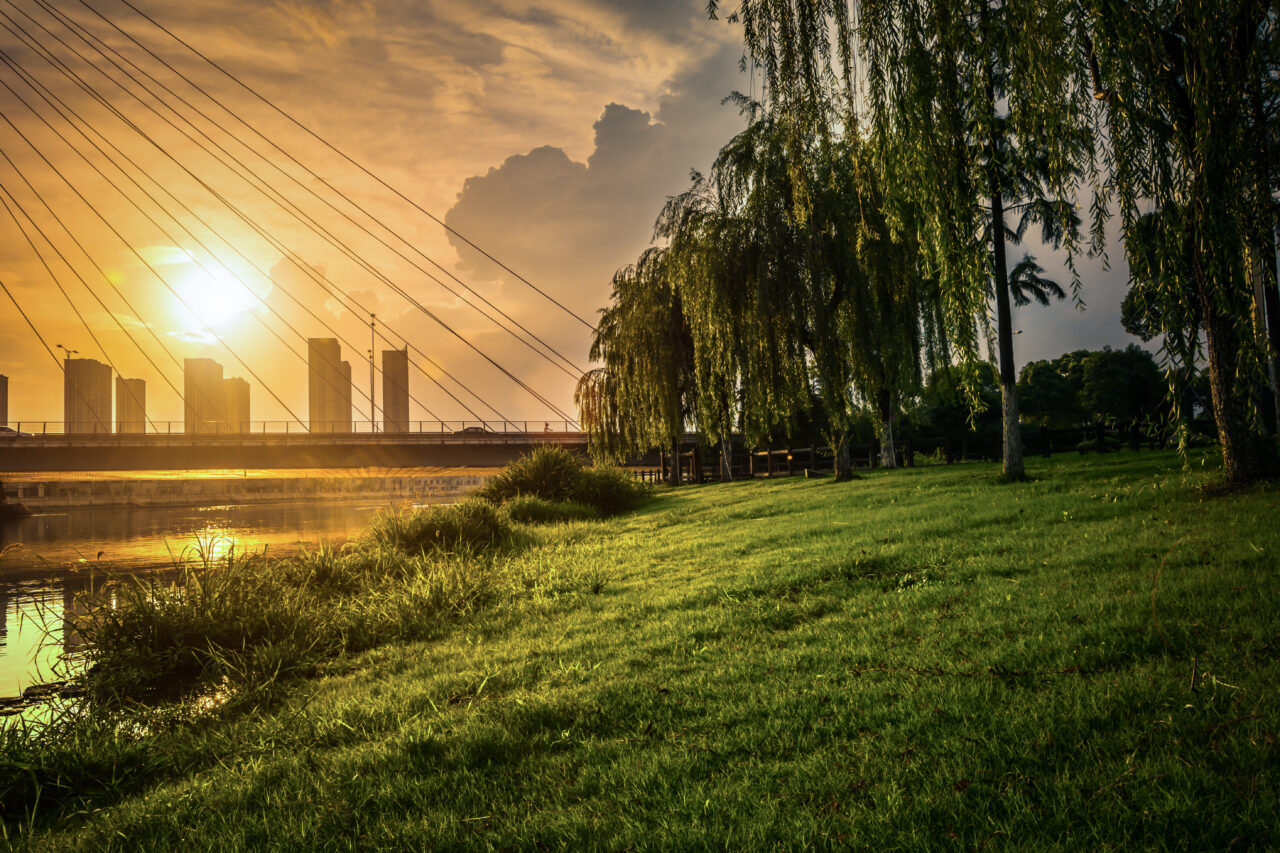 EcoFusion: AI Balancing Renewable Power and Resource Demands